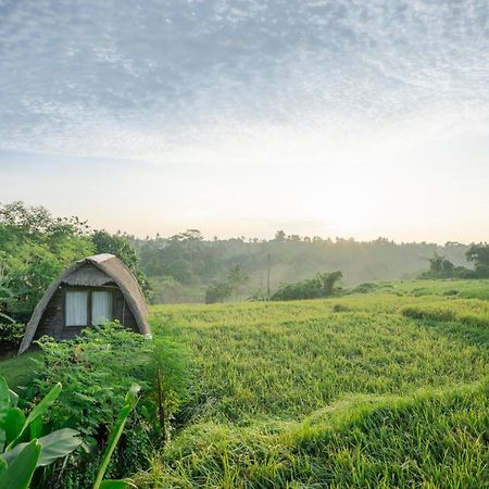 The Tetamian Bali Villa Sukawati Kültér fotó