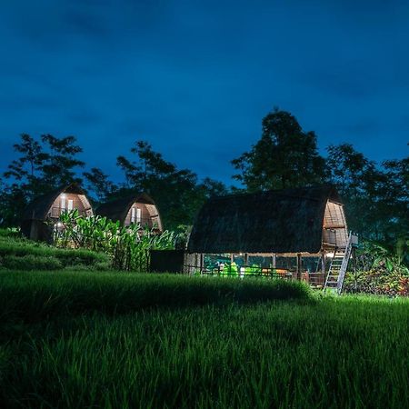 The Tetamian Bali Villa Sukawati Kültér fotó