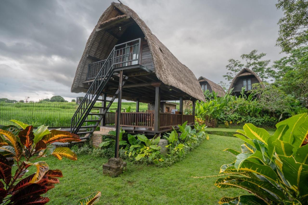 The Tetamian Bali Villa Sukawati Kültér fotó