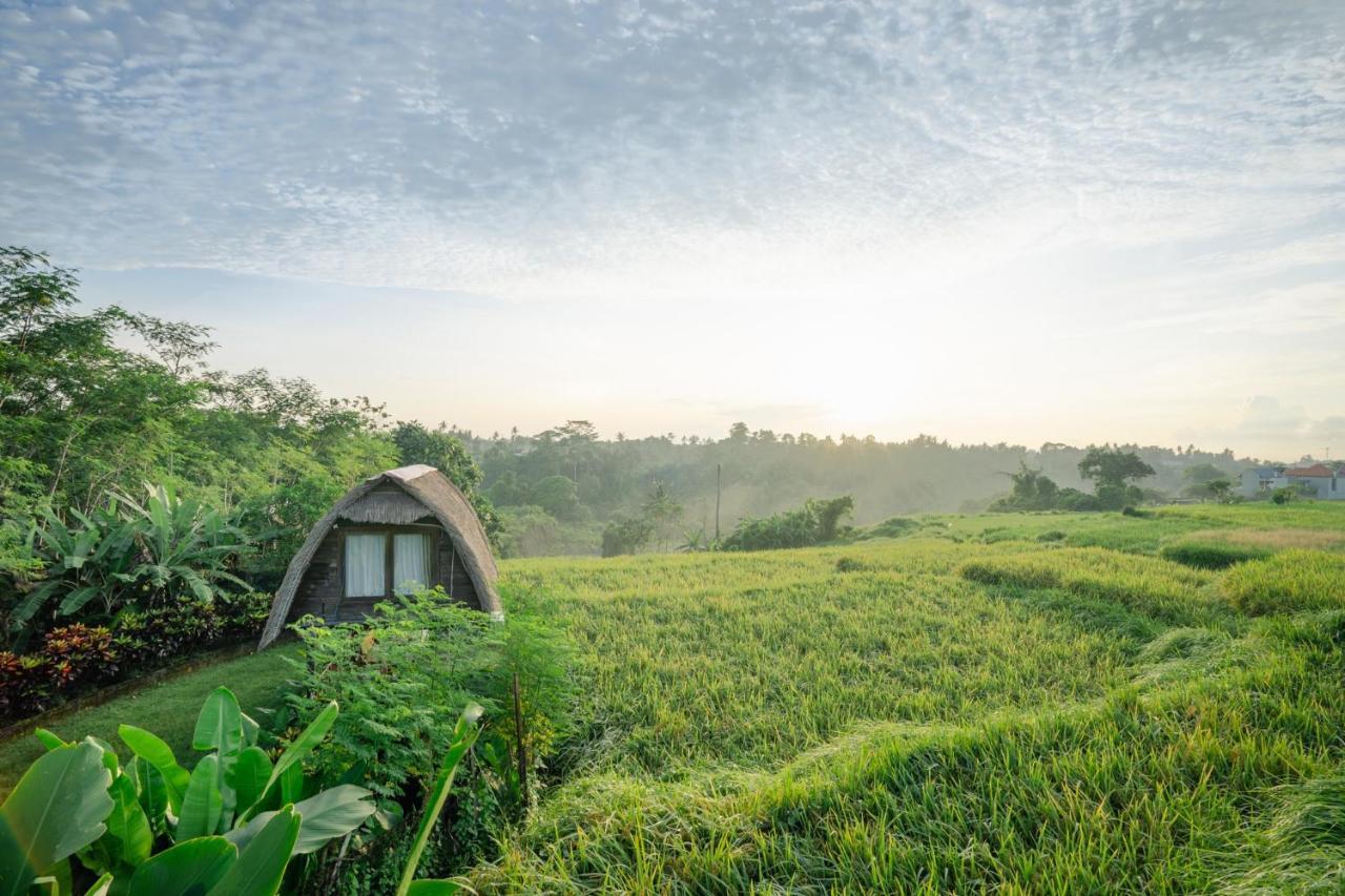The Tetamian Bali Villa Sukawati Kültér fotó